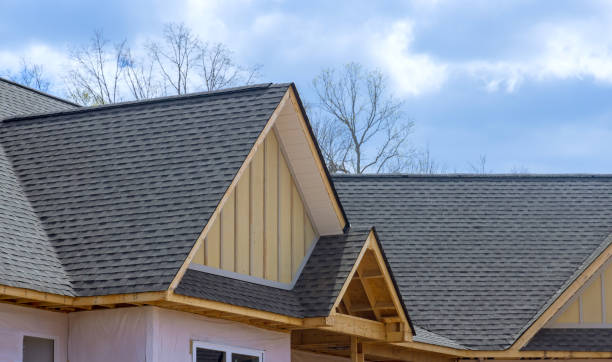 Best Metal Roofing Installation  in Bisbee, AZ